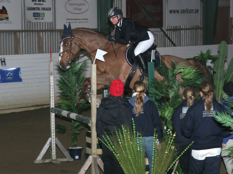 20080405_155808 Johanna Lassnack Jupiter